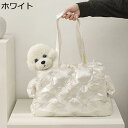 犬 猫用キャリーリュック 5kg耐荷重 ペットリュック ペットキャリー 犬 猫 うさぎ 小動物 キャリーバッグ リュック 旅行 通院 ポケット付 折畳収納可 ホ...