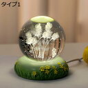購入15%-30%OFF クリスタルライト 誕生日プレゼント クリスタルボール 水晶玉3D 投影 室内 おきもの 癒しグッズ 置物 女性 ギフト タイプ8 ベッドサイドランプ 間接照明 USB充電 ナイトライト 6cm かわいい 飾り インテリア雑貨 部屋装飾品 記念日 結婚祝い ギフ