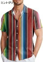 購入15%-30%OFF アロハシャツ メンズ 半袖 シャツ プリント ビーチシャツ カジュアル tシャツ 男女兼用 柄シャツ ゆったり メンズシャツ シンプル...