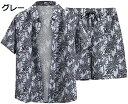 購入15%-30%OFF アロハシャツ 半袖シャツ 2点セット トップス ハーフパンツ ショート パンツ 上下セット ファッション カジュアル 開襟シャツ ビー...