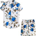 購入15%-30%OFF ビーチシャツ メンズ 上下セット 半袖シャツ 2点セット アロハシャツ ショートパンツ 夏 上下 Tシャツ セットアップ 短パン ハワ...