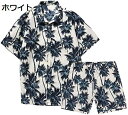 購入15%-30%OFF 夏服 半袖シャツ 2点セット ショーパン 春夏 メンズ 開襟シャツ 半袖 ビックシルエット ボタンダウン 和柄 カジュアルシャツ 薄い...