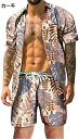 購入15%-30%OFF Tシャツ メンズ 半袖 上下セット アロハシャツ 襟付き ハワイアンシャツ 夏用 花柄シャツ 日焼け止め 通気速乾 紫外線対策加工 ボタンダウン ハワイ風 柔らかい ビーチウェア 大人 結婚式 ビーチシャツ 旅行 耐摩耗 海水浴