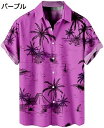 購入15%-30%OFF 半袖シャツ 夏服 メンズ 開襟 軽い 吸汗速乾 アロハシャツ 幾何 和柄 総柄プリント カジュアル ビーチシャツ かっこいい 人気 ゆ...