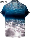 購入15%-30%OFF 半袖シャツ アロハシャツ メンズ 半袖 カジュアル ビーチシャツ ハワイ風 夏 開襟 UV対策 通気速乾 軽量 カジュアル 柔らかい ...