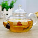 ガラス ティーポット ティーサーバー 茶漉し要らず 茶こし付き 耐熱ガラス ガラス製持ち手 ガラス製ポット ガラス急須 ジャンピング 紅茶ポット フルーツティー...