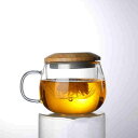 ティーポット お茶 紅茶 耐熱ガラス 食洗機対応 おしゃれ 急須 カラードティーサーバー保温 茶こし付き ガラス製 ティーサーバー ポット ガラス 電子レンジ対...