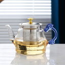 ティーポット 耐熱ガラス 直火 お茶 有料 食洗機 クリア 紅茶 日本茶 フルーツティー ハーブティー 香りのお茶 ゴンユンティー 湯沸かしポット ガラス製ポッ...