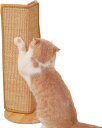 猫用ウォールスクラッチャー、猫用爪とぎマット 猫用爪とぎマットサイザル麻コーナースクラッチボード 家具保護耐摩耗性スクラッチパッド、屋内猫用多目的スクラッチマット(4)