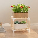 プランタースタンド フラワースタンド L 天然木 観葉植物 室内 鉢台 フラワーポット 12 ブナ 植木鉢台 インテリア 円形 丸脚 十字 木製 北欧 プランタ...