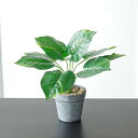 フェイクグリーン 卓上 鉢植え スイカの葉セット 人工観葉植物 本物そっくり 高さ約33cm 盆栽 北欧風 インテリア 室内 店舗 装飾 置物 枯れない 世話いらず おしゃれ 開店祝い 転居祝い プレ