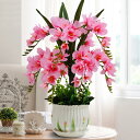 造花 胡蝶蘭 絹花の花束 花瓶付き 人工観葉植物 キレイ フェイクフラワー ブーケ 枯れない花 インテリア 家庭 オフィス 写真撮影 部屋飾り 置物 開店祝い ...