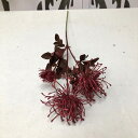 アートフラワー 菊 造花 枯れない花 インテリア 花束 オーナメント フラワー 2束 ブーケ 転居 引越し 玄関 撮影 敬老の日 ギフト プレゼント ギフト き...