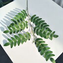 エンジュの葉 造花 アートフラワー 枯れない 人工観賞植物 インテリア 本物そっくり フェイクフラワー リビング/玄関 飾り 引越し 新築祝い ナチュラル 世話...