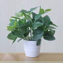 フェイクグリーン 人工観葉植物 鉢植え 盆栽植物 造花 ミニ インテリア 室内用 おしゃれ 世話要らず 新築祝い 新生活祝い 引越し ギフト 贈り物 オフィス ...
