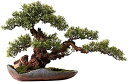 フェイクプラント/フェイクプラント 人工観葉植物 中国禅盆栽 ウェルカムパイン シミュレーションマツ 鉢植えのフロントポーチの装飾 フェイクグリーンプラントオー...