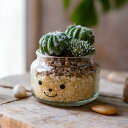 多肉植物やサボテンのフェイクグリーンです 卓上 ミニ 防汚 抗菌 F おしゃれ リアル インテリア ガラス瓶 多肉植物 寄せ植え トイレ 玄関 造花 人工観葉植物 置物 アーティフィシャルグリーン プ