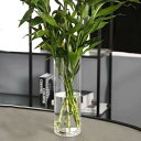 円柱 花瓶 大 フラワーベース ガラス かびん ガラスの花瓶 フラワーベース 透明-高さ25cm 花器 ガラスベース ガラスボトル アレンジ インテリア 花びん 水栽培 生け花 造花 枝物 一輪挿し