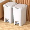 ゴミ箱 臭気防止 分別 プッシュ式 分別ゴミ箱 ペール ふた付き ゴミ袋が見えない 無地 ペダル式 ダストボックス 臭気防止 ホワイト ごみ箱 可愛い シンプル モノトーン キッチン スリム 6.5L