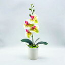 オンシジューム 胡蝶蘭 花瓶の造花 人工観葉植物 水やり不要 長持ち 本物そっくり インテリア キッチン オフィス 庭園 部屋 喫茶店 母の日ギフト 装飾花 花瓶付き 光触媒 枯れない花 北欧