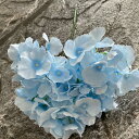 アジサイ 枯れない花 造花 1束 DIY 北欧 結婚式 造花芸術 お祝い プレゼント 部屋飾り 写真撮影 記念日 母の日 ロマンチック シルク造花 水やり不要 ...