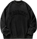 長袖tシャツ メンズ おしゃれ 秋 トレーナー フードなし ゆったり プルオーバー カジュアル 快適 シンプル スウェット スウェットシャツ 春 トップス 人気 軽い 冬 丸首 柔ら オーバーサイズ