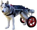 ペット用車椅子、調節可能な犬用車椅子ベビーカー、障害のある犬用補助歩行車、ペット用後ろ足運動車、後ろ足リハビリテーション犬用歩行2輪(4)