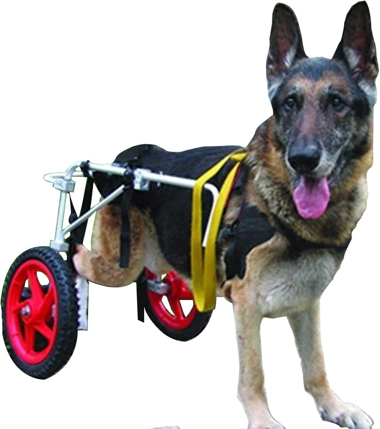 ĴǽʸѼְػҡ㳲Τ븤θ­Υϥӥơѡ2إڥåѼְػҡڥåȥȤΩƴñ (22-45 kg)