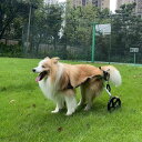 調節可能なペット用車椅子 航空アルミフレーム 犬用車椅子 歩行ツール 犬用車 二輪サポートツール 犬用車椅子