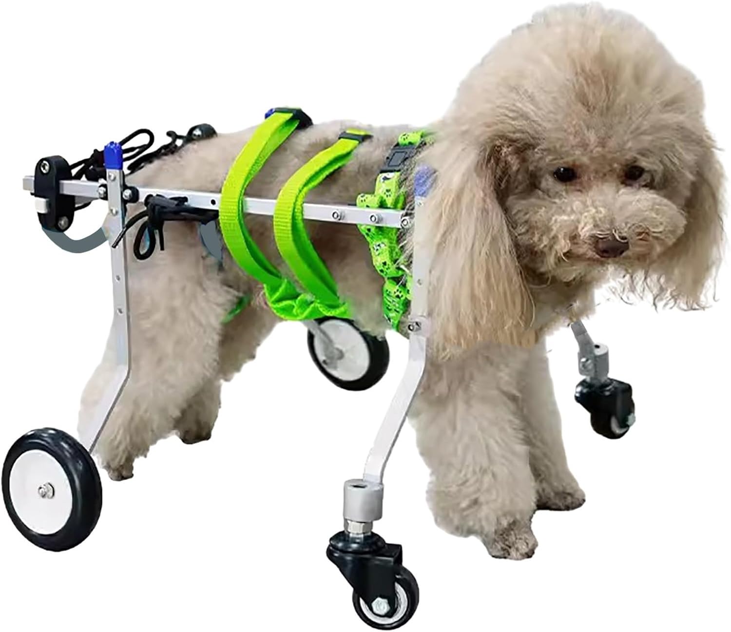 楽天市場】犬用車椅子 4輪 柴犬の通販 楽天市場】犬用車椅子 4輪 柴犬の通販