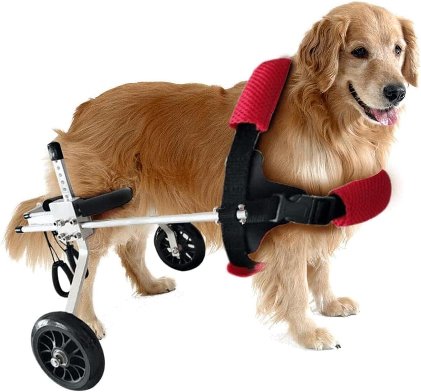 ĴǽʥڥåѼְػ ݡ֥ 2 Ѽְػ ­   ڥåѼְػҥ