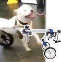 犬用車椅子 中型/大型犬用車椅子、軽量 2輪アルミカート リフト補助具、猫/犬/子犬用調節可能ペットリハビリカート (サイズ: S サイズ)