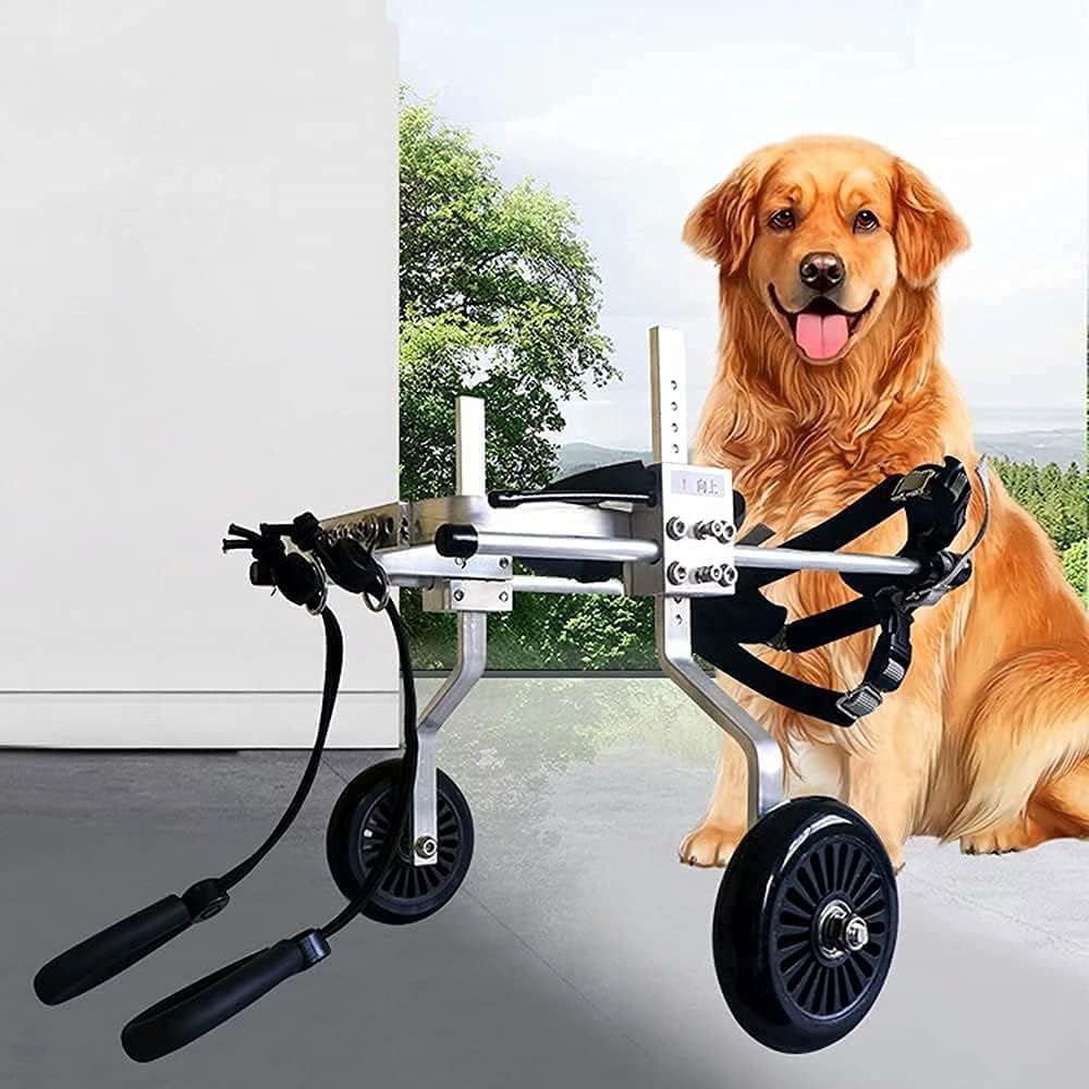 楽天市場】犬 車椅子 大型犬の通販 楽天市場】犬 車椅子 大型犬の通販