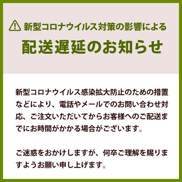 コールマン Coleman コンパクトフォールディングチェア（レッド） 170-7670 [イス ローチェア]