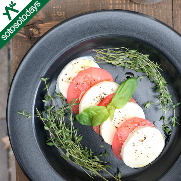 プラットチャンプ Platchamp フラットプレート 25 PC003 [ホーロー 日本製]通販格安セール情報　楽天　通販