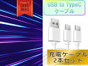 typeCケーブル おすすめ 1m 2本セット 急速充電 タイプCケーブル 安い データ転送 最強 丈夫 強靭 pd cable クーポン配布中