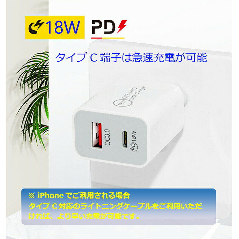 2ポートライトニングケーブル用USB＆タイプCコンセント 2点セット アダプター おすすめ 充電 USB タイプC 急速充電 安い apple adapter クーポン配布中