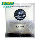 アンドロメダ エチオピア コーヒー リム10g×4P ドリップバッグ フェニシアン 人の手を加えてない森での収穫フォレスト 芯のある強いエネルギッシュな味わいです。朝一番、一日のはじまりに・・・　追跡可能メール便【ポスト投函】※パッケージは以前のものです