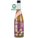 出羽桜酒造 出羽桜 本格梅酒 リキュール 9度 とろける果肉 720ml 紀州南高梅 使用 山形 数量限定 紀州産 南高梅を 梅酒のために特別に仕込んだ純米吟醸...