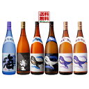 大海酒造「海」「海王」「くじらシリーズ」1800ml 6本入【あす楽対応_北陸】【あす楽対応_東海】【あす楽対応_近畿】【あす楽対応_中国】【あす楽対応_四国】【あす楽対応_九州】【楽ギフ_包装】【楽ギフ_のし】【楽ギフ_のし宛書】