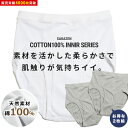 ブリーフパンツ 2枚組 大きいサイズ メンズ 綿100% 無地 前開き アンダーウェア 通年肌着 ブリーフパンツ ホワイト グレー XL LLサイズ 3L 4L...