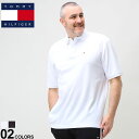 大きいサイズ メンズ TOMMY HILFIGER (トミーヒルフィガー) 綿100％ ワンポイント 半袖 ポロシャツ IVY POLO SHIRT CLF ポロシャツ シャツ 半袖 春 夏 7802266D22