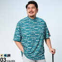 大きいサイズ メンズ le coq sportif (ルコックスポルティフ) GOLF 吸汗速乾 UVカット モックネック 半袖 Tシャツ Tシャツ ゴルフ スポーツ 春 夏 QGMVJA20BG