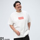 大きいサイズ メンズ EDWIN (エドウィン) 綿100％ BOXロゴ クルーネック 半袖 Tシャツ Tシャツ 半袖 コットン 春 夏 ET609691183L5L