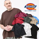 󥺥å 㤨礭  Dickies (ǥå 100 ̵ ݥå 롼ͥå Ⱦµ T 奢 ȥåץ  ץ ١å ղ WS450 󥺥åץפβǤʤ1,595ߤˤʤޤ