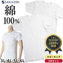肌着 半袖 2枚セット 大きいサイズ メンズ クルーネック 3L 4L 5L 6L LLサイズ XL 綿100% フライス編み ホワイト 白無地 SAKAZEN アンダーシャツ tシャツ インナー 大きいサイズメンズ肌着のサカゼン