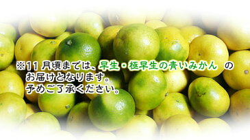 みかん 訳あり 有田みかん 20kg 和歌山県産 送料無料(北海道、沖縄県、東北地方除く) ミカン みかん 蜜柑 ご自宅用 温州みかん 家庭用 果物 柑橘 産地直送 食品 健康 健康維持 冬 ビタミン 風邪 予防 ジューシ— 採れたて 年越し 年末 帰省 こたつ