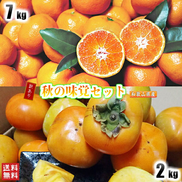 みかん 柿 訳あり 秋の味覚セット 2kg+7kg 和歌山県産 送料無料(北海道、沖縄県、東北地方除く) 毎日好評発送中 有田みかん ミカン みかん 蜜柑 種なし柿 中谷早生 刀根早生 平核無 ご自宅用のサムネイル