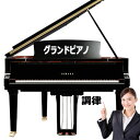 グランドピアノ　調律　新規お申込み　【2倍】 その1