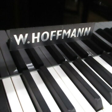 W.HOFFMANN PROFESSIONAL　Model:WH162P